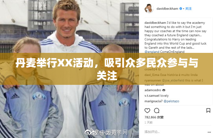 丹麦举行XX活动，吸引众多民众参与与关注