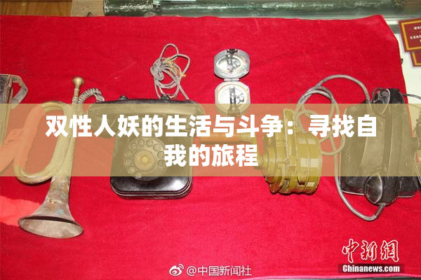 双性人妖的生活与斗争：寻找自我的旅程