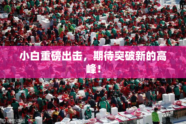 小白重磅出击，期待突破新的高峰！