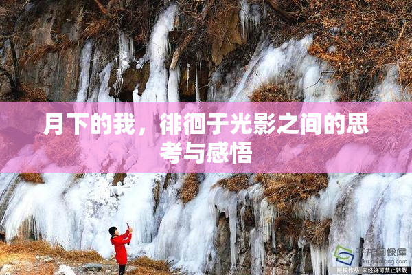 月下的我，徘徊于光影之间的思考与感悟