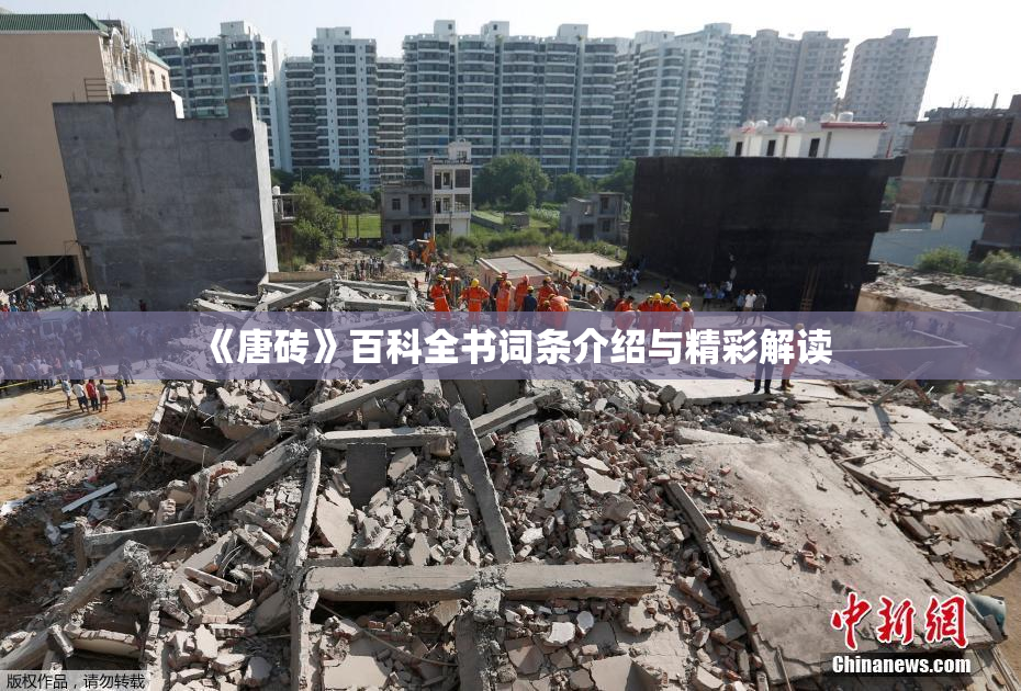 《唐砖》百科全书词条介绍与精彩解读