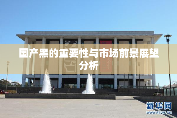 国产黑的重要性与市场前景展望分析
