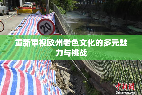 重新审视欧州老色文化的多元魅力与挑战