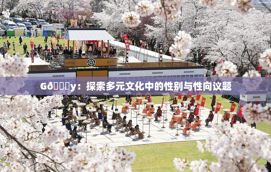 G🈚y：探索多元文化中的性别与性向议题