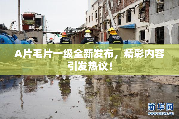 A片毛片一级全新发布，精彩内容引发热议！