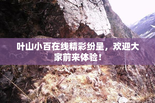 叶山小百在线精彩纷呈，欢迎大家前来体验！