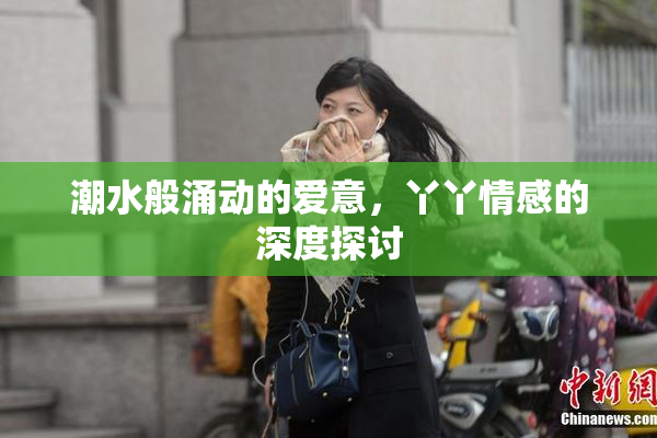 潮水般涌动的爱意，丫丫情感的深度探讨