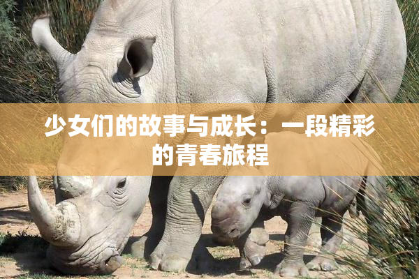 少女们的故事与成长：一段精彩的青春旅程