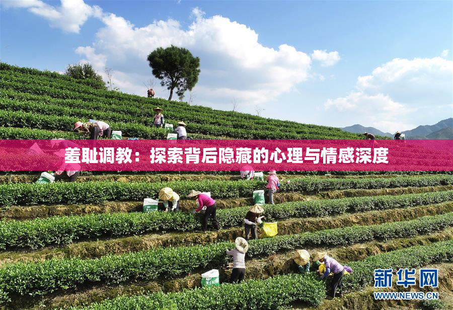 羞耻调教：探索背后隐藏的心理与情感深度