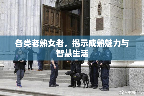 各类老熟女老，揭示成熟魅力与智慧生活