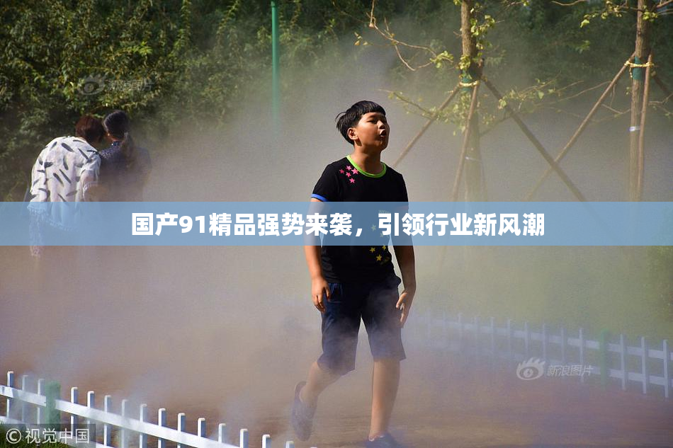 国产91精品强势来袭，引领行业新风潮