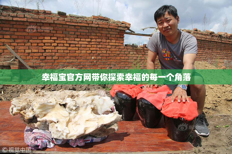 幸福宝官方网带你探索幸福的每一个角落