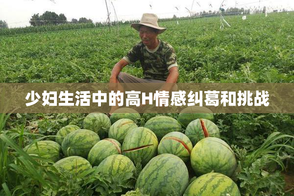 少妇生活中的高H情感纠葛和挑战