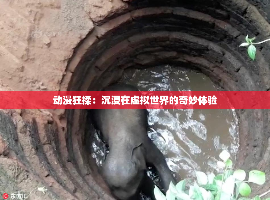 动漫狂揉：沉浸在虚拟世界的奇妙体验