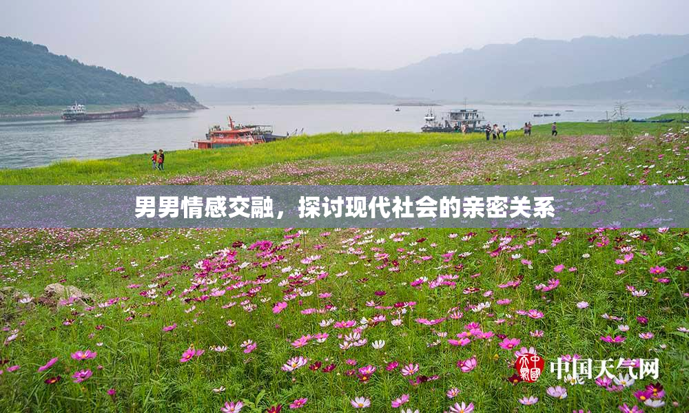 男男情感交融，探讨现代社会的亲密关系