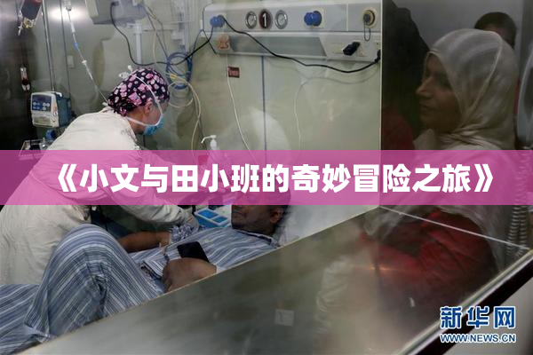 《小文与田小班的奇妙冒险之旅》