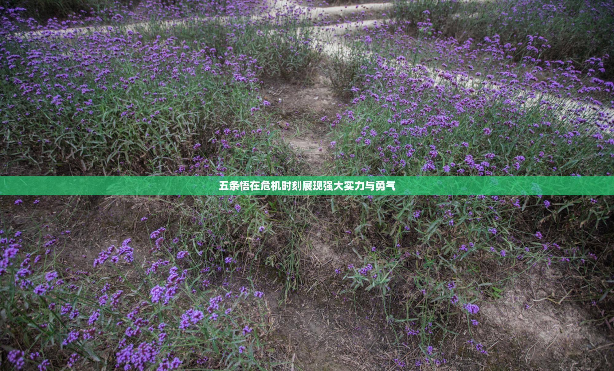五条悟在危机时刻展现强大实力与勇气