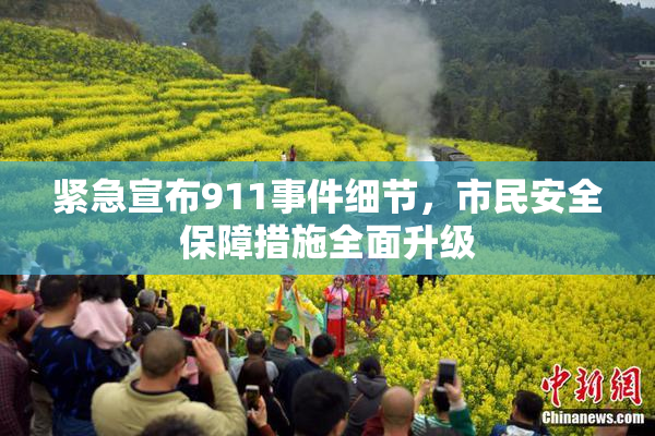 紧急宣布911事件细节，市民安全保障措施全面升级