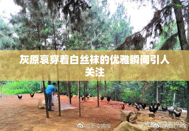 灰原哀穿着白丝袜的优雅瞬间引人关注