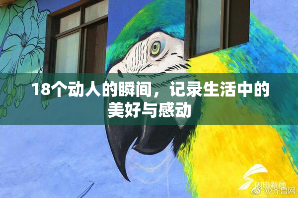 18个动人的瞬间，记录生活中的美好与感动