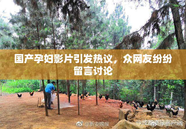 国产孕妇影片引发热议，众网友纷纷留言讨论