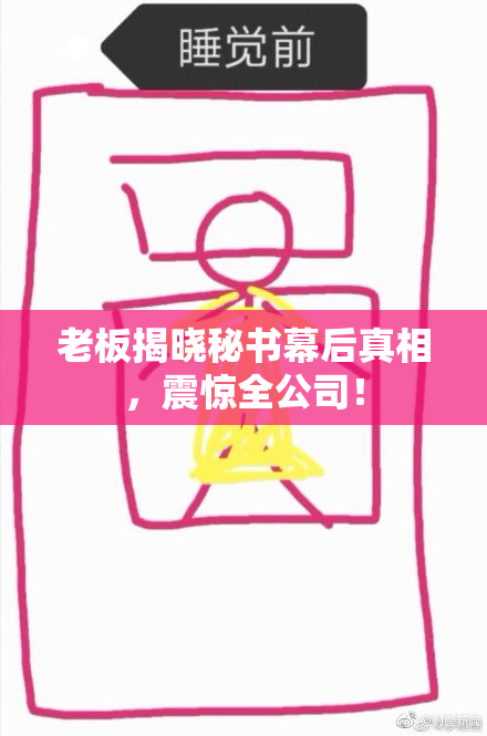 老板揭晓秘书幕后真相，震惊全公司！