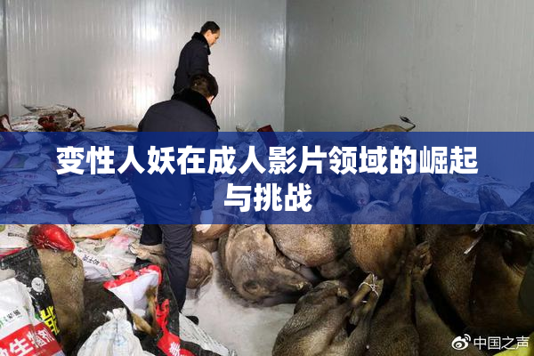 变性人妖在成人影片领域的崛起与挑战