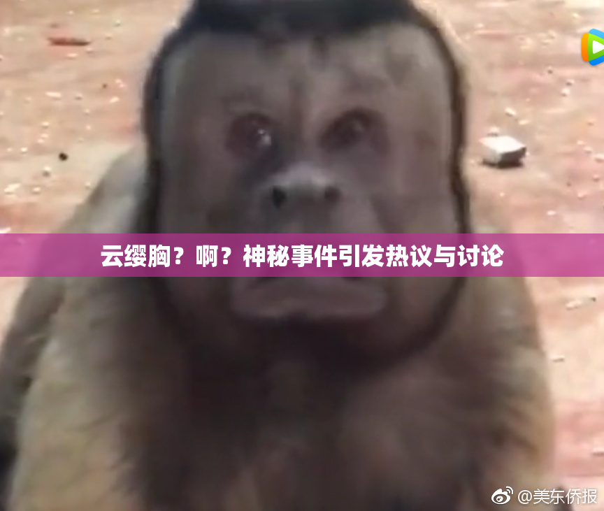 云缨胸？啊？神秘事件引发热议与讨论