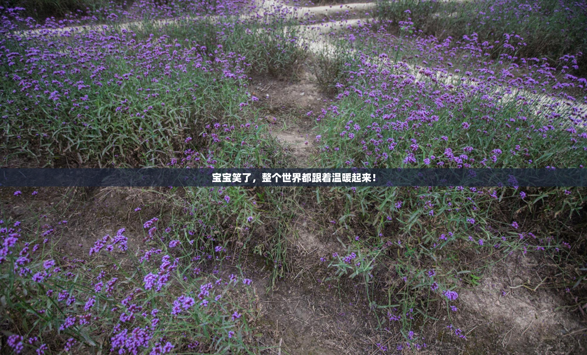 宝宝笑了，整个世界都跟着温暖起来！