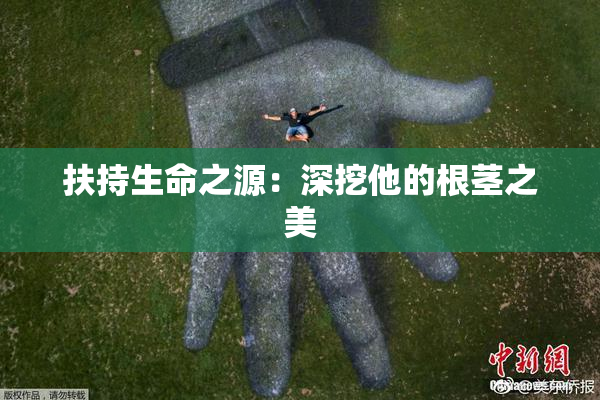 扶持生命之源：深挖他的根茎之美
