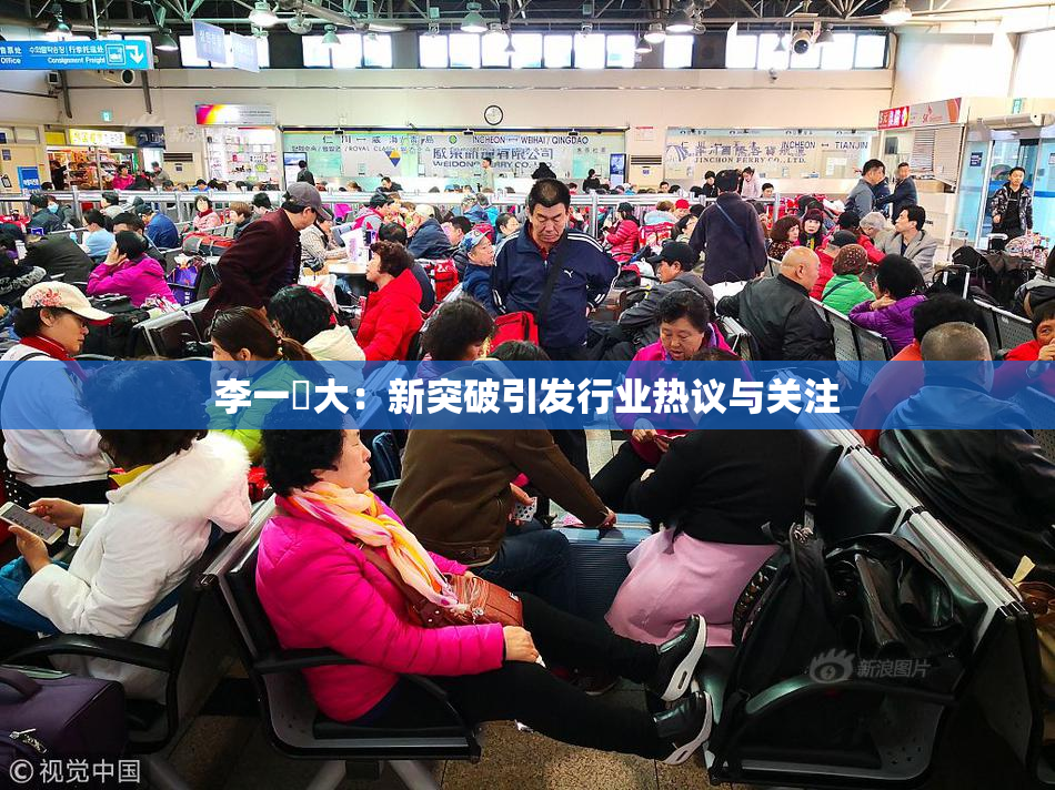 李一挏大：新突破引发行业热议与关注