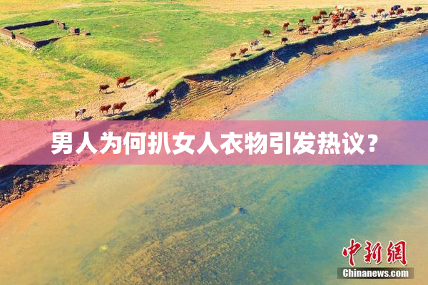 男人为何扒女人衣物引发热议？