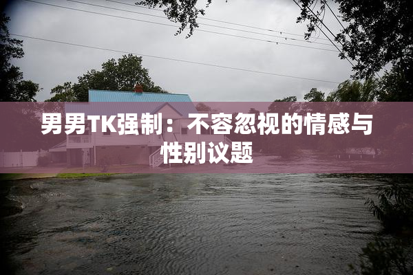 男男TK强制：不容忽视的情感与性别议题