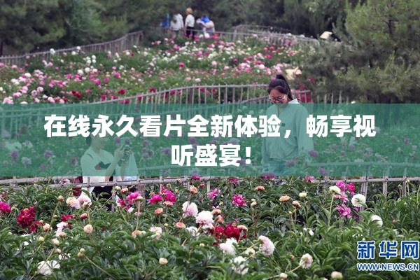在线永久看片全新体验，畅享视听盛宴！