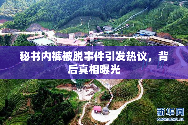 秘书内裤被脱事件引发热议，背后真相曝光