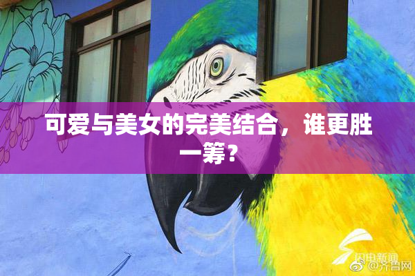可爱与美女的完美结合，谁更胜一筹？