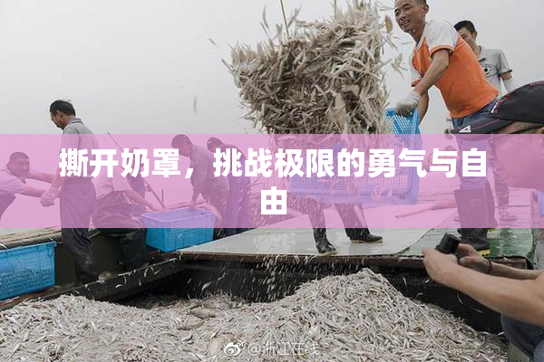 撕开奶罩，挑战极限的勇气与自由