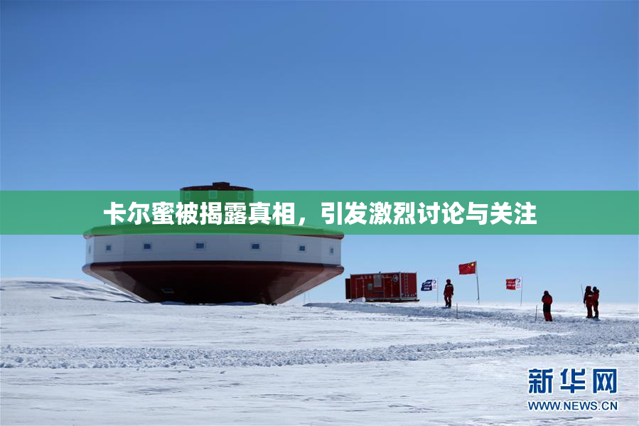 卡尔蜜被揭露真相，引发激烈讨论与关注