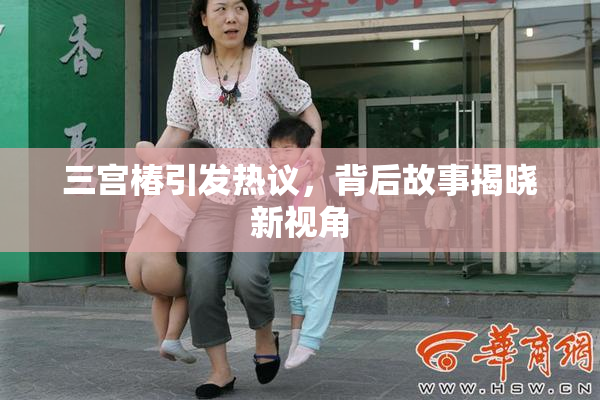 三宫椿引发热议，背后故事揭晓新视角