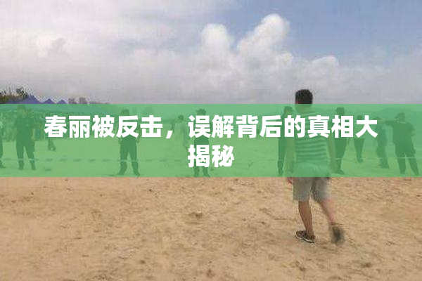 春丽被反击，误解背后的真相大揭秘