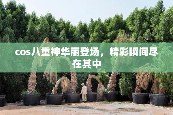 cos八重神华丽登场，精彩瞬间尽在其中