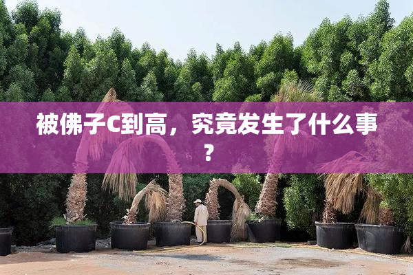 被佛子C到高，究竟发生了什么事？