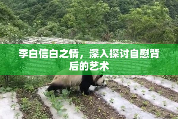 李白信白之情，深入探讨自慰背后的艺术