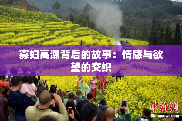 寡妇高潮背后的故事：情感与欲望的交织