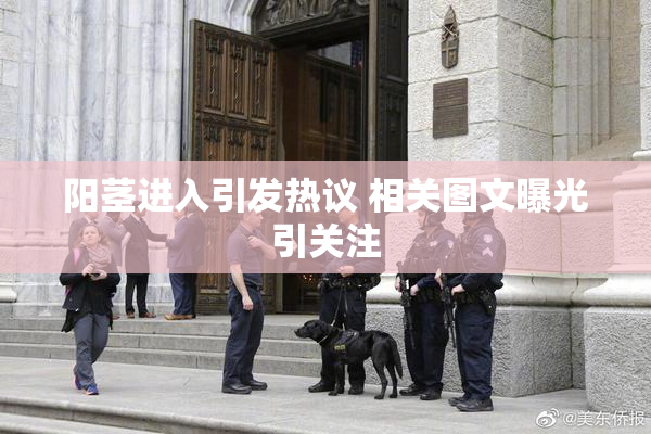阳茎进入引发热议 相关图文曝光引关注