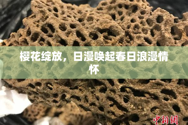 樱花绽放，日漫唤起春日浪漫情怀