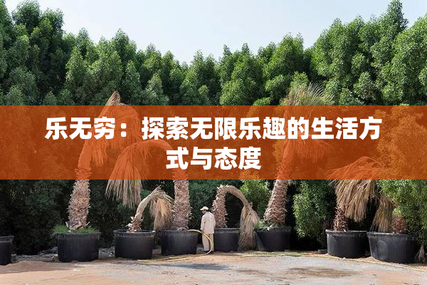 乐无穷：探索无限乐趣的生活方式与态度