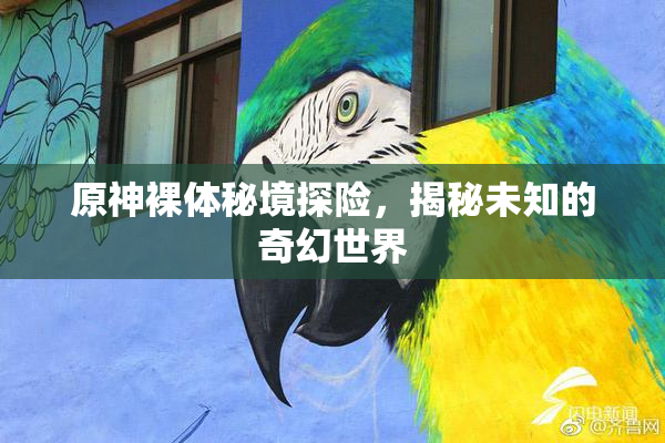 原神裸体秘境探险，揭秘未知的奇幻世界