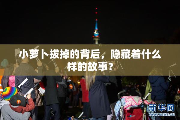 小萝卜拔掉的背后，隐藏着什么样的故事？