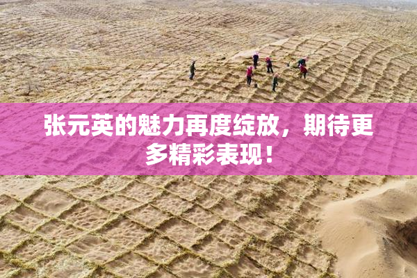 张元英的魅力再度绽放，期待更多精彩表现！